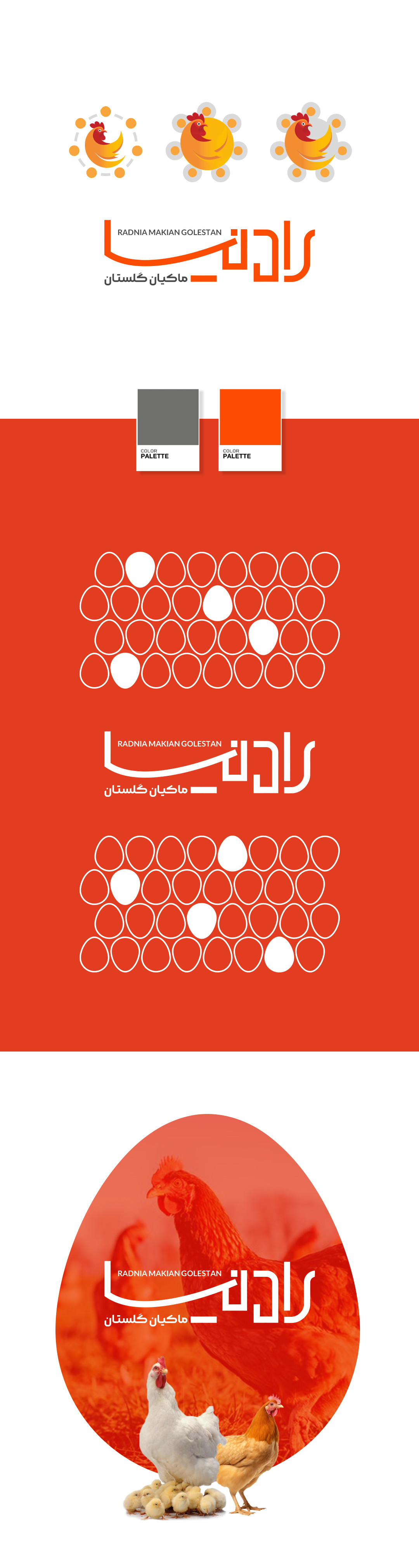 طراحی لوگوی ماکیان گلستان رادنیا ۲